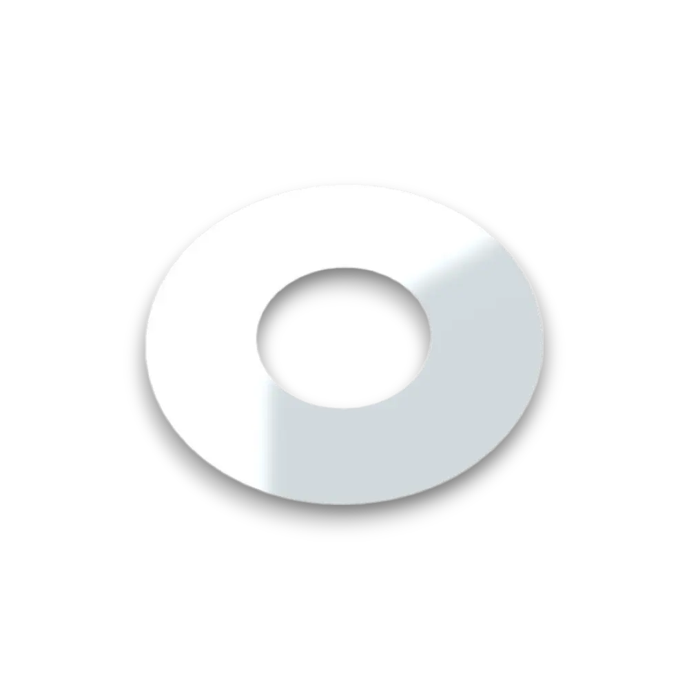 Mylar Disc
